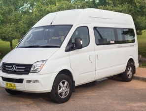 LDV Minivan